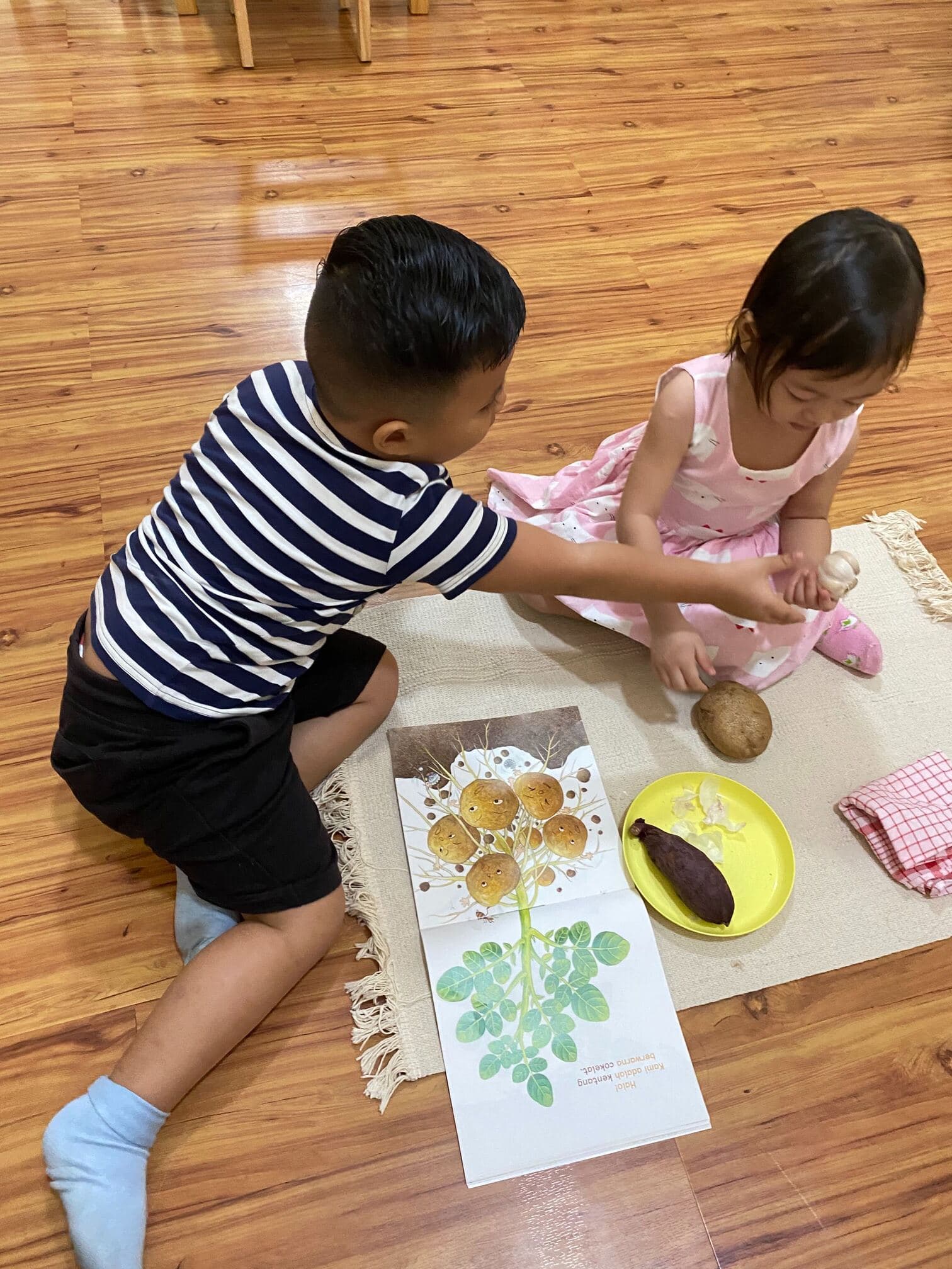 students helping each other to learn about plants